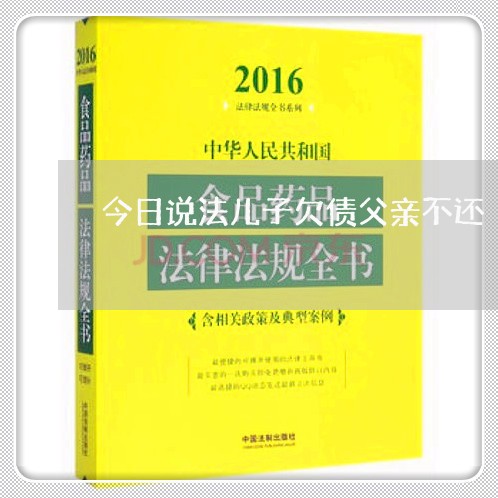 今日说法儿子欠债父亲不还/2023111095916