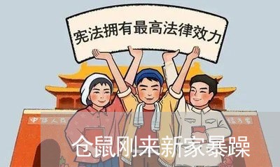 仓鼠刚来新家暴躁/2023100826140