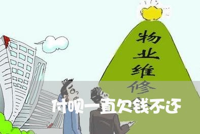 付呗一直欠钱不还/2023112705058