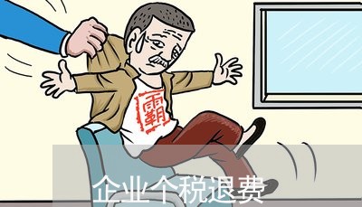 企业个税退费/2023041542926