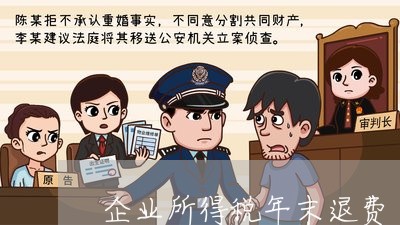 企业所得税年末退费/2023051907137