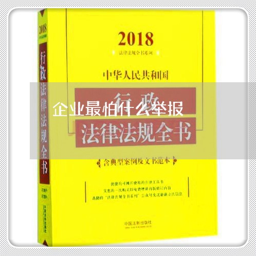 企业最怕什么举报/2023031484926