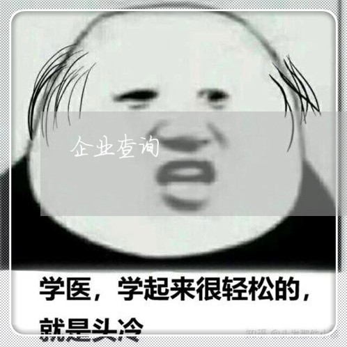 企业查询/2023032553704