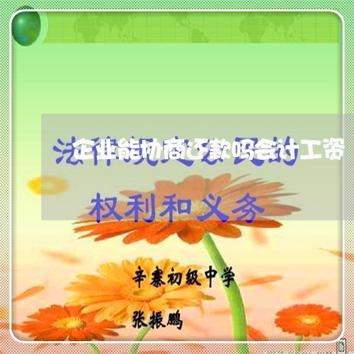 企业能协商还款吗会计工资/2023100616168