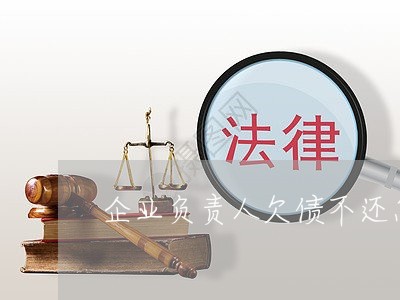 企业负责人欠债不还怎么办/2023111152826