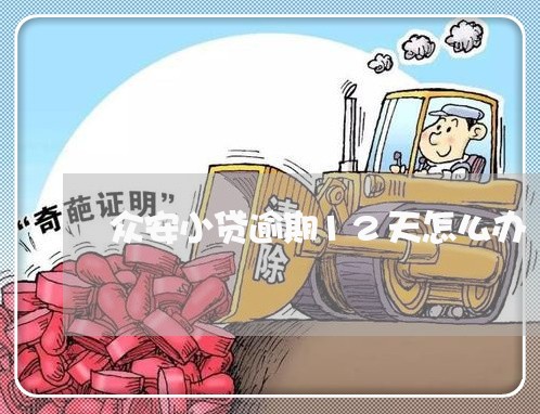 众安小贷逾期12天怎么办/2023081532415