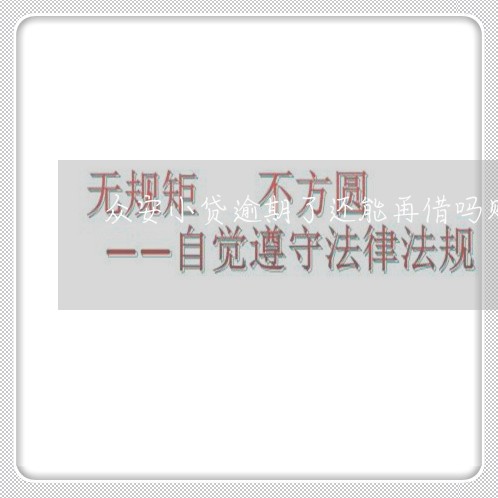 众安小贷逾期了还能再借吗贴吧/2023091541481