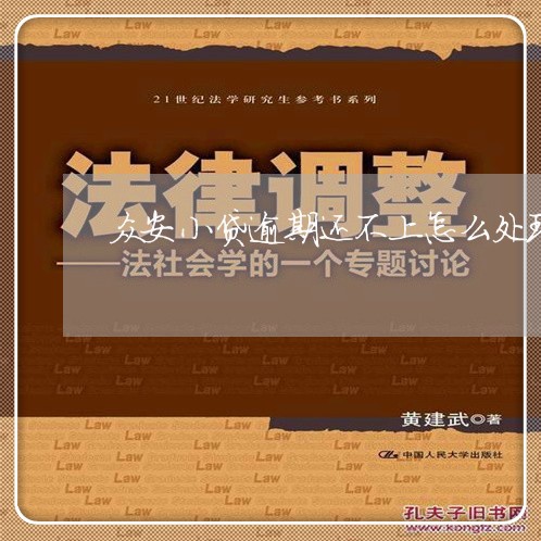 众安小贷逾期还不上怎么处理呢/2023072460485