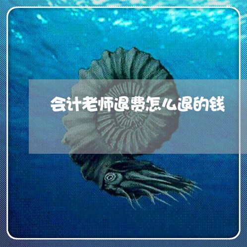 会计老师退费怎么退的钱/2023052180584