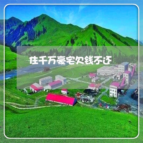 住千万豪宅欠钱不还/2023111440693