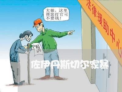 佐伊丹斯切尔家暴/2023101458382