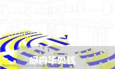 何丹华欠钱/2023121505926