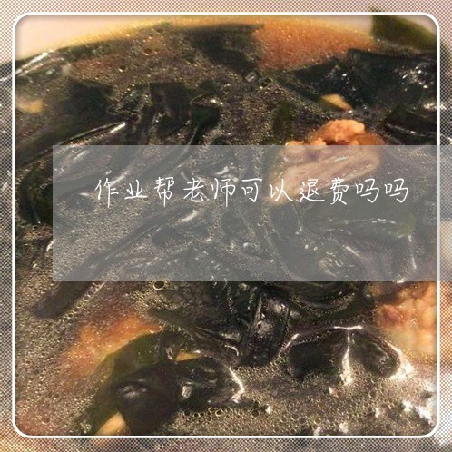 作业帮老师可以退费吗吗/2023061973713