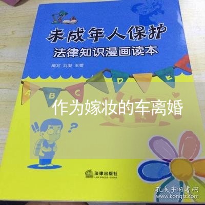 作为嫁妆的车离婚/2023092578392