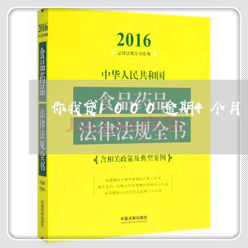 你我贷1000逾期4个月/2023052621492