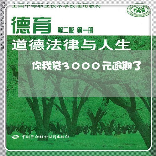 你我贷3000元逾期了/2023062239482