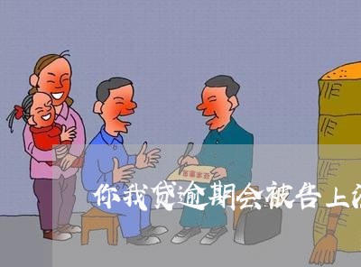 你我贷逾期会被告上法院吗/2023052620794