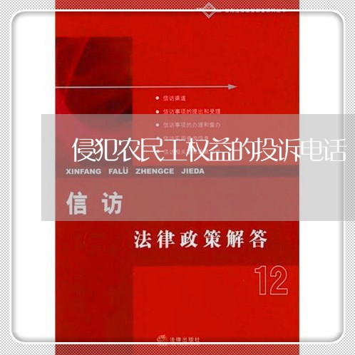 侵犯农民工权益的投诉电话/2023032671494