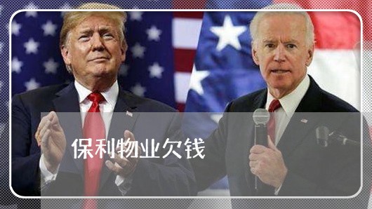 保利物业欠钱/2023100948602