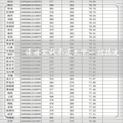 保姆欠钱不还大爷一招搞定下集/2023110983703