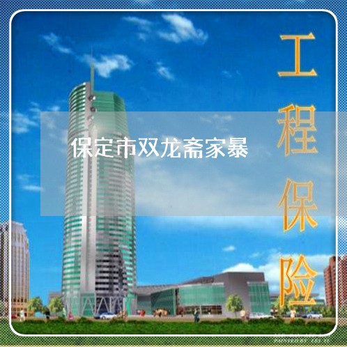 保定市双龙斋家暴/2023101412795