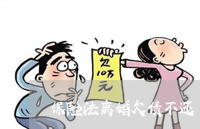 保险法离婚欠债不还/2023111856026