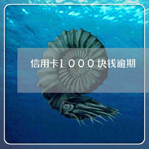 信用卡1000块钱逾期/2023052631615