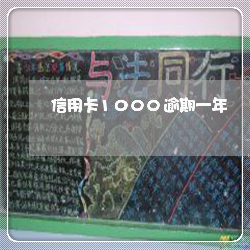 信用卡1000逾期一年/2023052073915