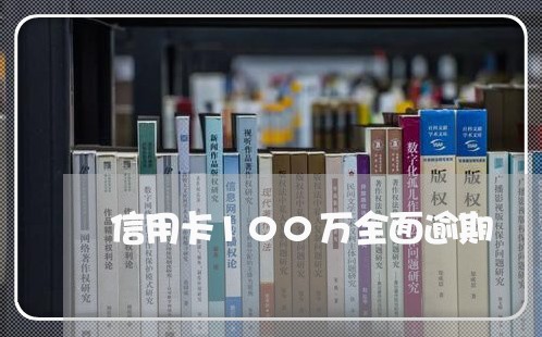 信用卡100万全面逾期/2023052573847