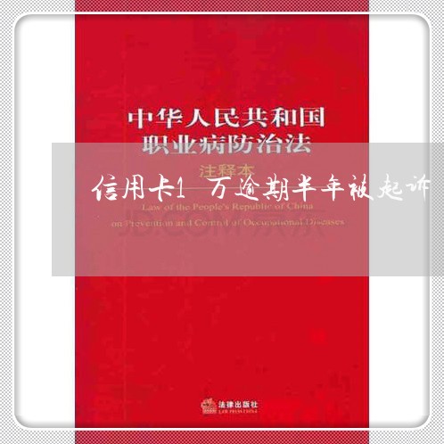 信用卡1万逾期半年被起诉/2023070952504