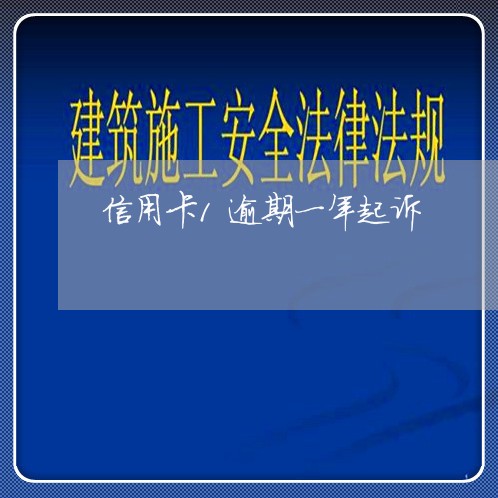 信用卡1逾期一年起诉/2023112384940