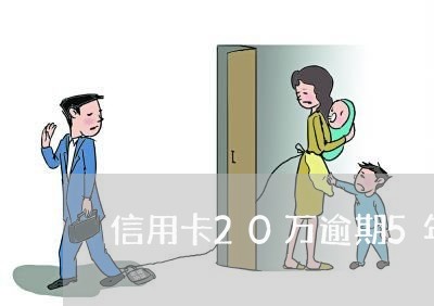 信用卡20万逾期5年怎么算/2023053050583