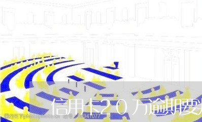 信用卡20万逾期要判多久刑期呢/2023053121805