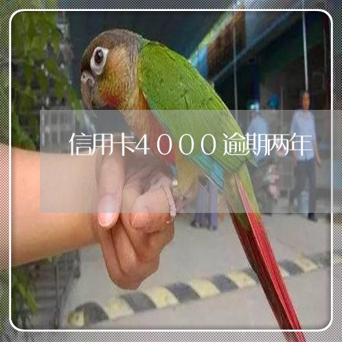 信用卡4000逾期两年/2023100616250