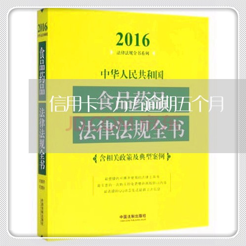 信用卡一万五逾期五个月/2023121609682