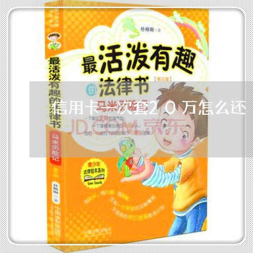 信用卡一次套20万怎么还/2023081376927