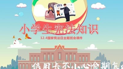 信用卡不小心逾期怎么收费/2023121838479