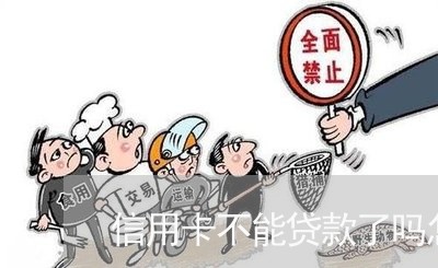 信用卡不能贷款了吗怎么还/2023120406171