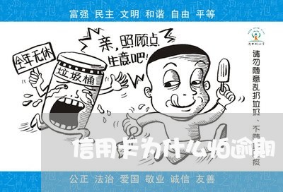 信用卡为什么怕逾期/2023112463704