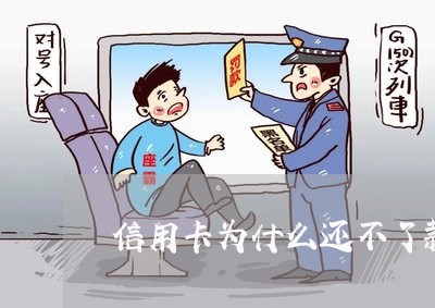 信用卡为什么还不了款怎么办/2023061961493