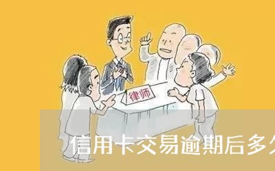 信用卡交易逾期后多久还款/2023061630471