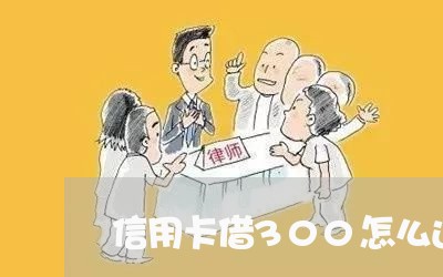 信用卡借300怎么还/2023082570794