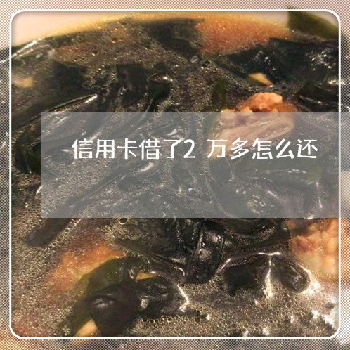 信用卡借了2万多怎么还/2023102872704