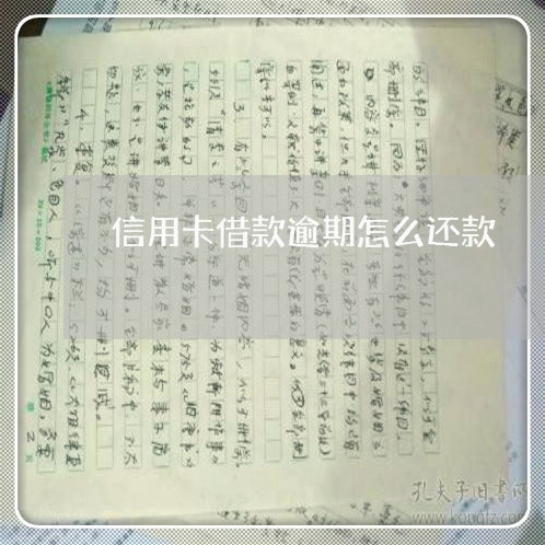 信用卡借款逾期怎么还款/2023112588341