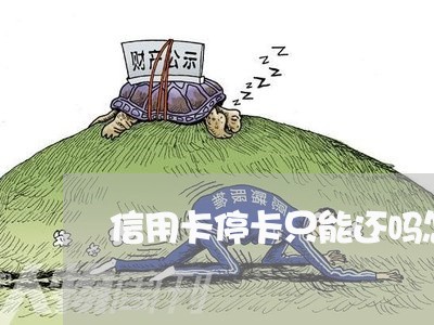 信用卡停卡只能还吗怎么办/2023080377026