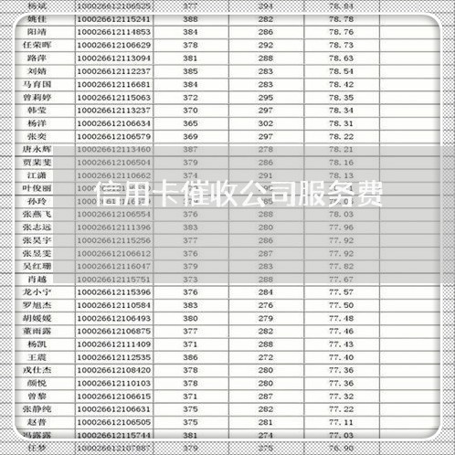 信用卡催收公司服务费/2023120328281