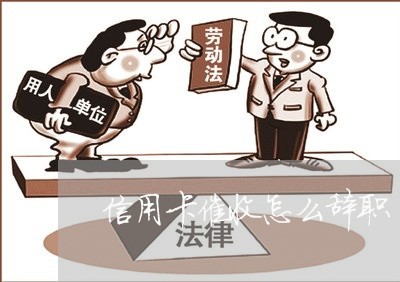 信用卡催收怎么辞职/2023111889461