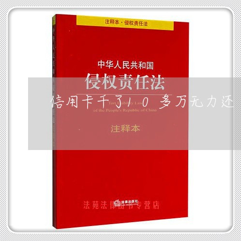 信用卡千了10多万无力还/2023081315048