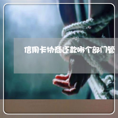 信用卡协商还款哪个部门管/2023120449516