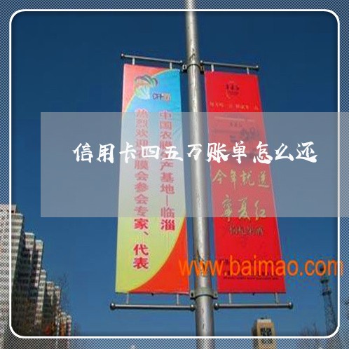 信用卡四五万账单怎么还/2023102482838